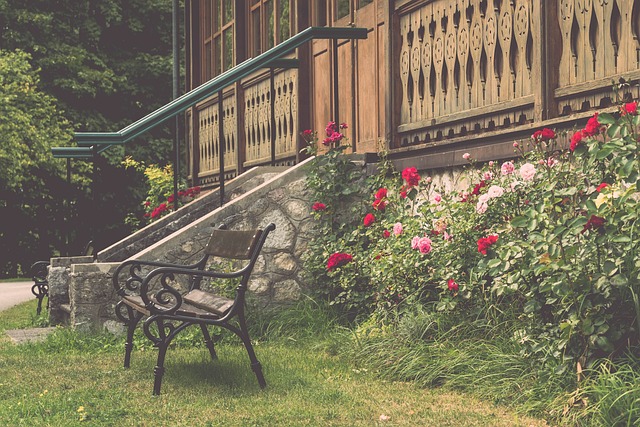 世界中的无 世界中的无