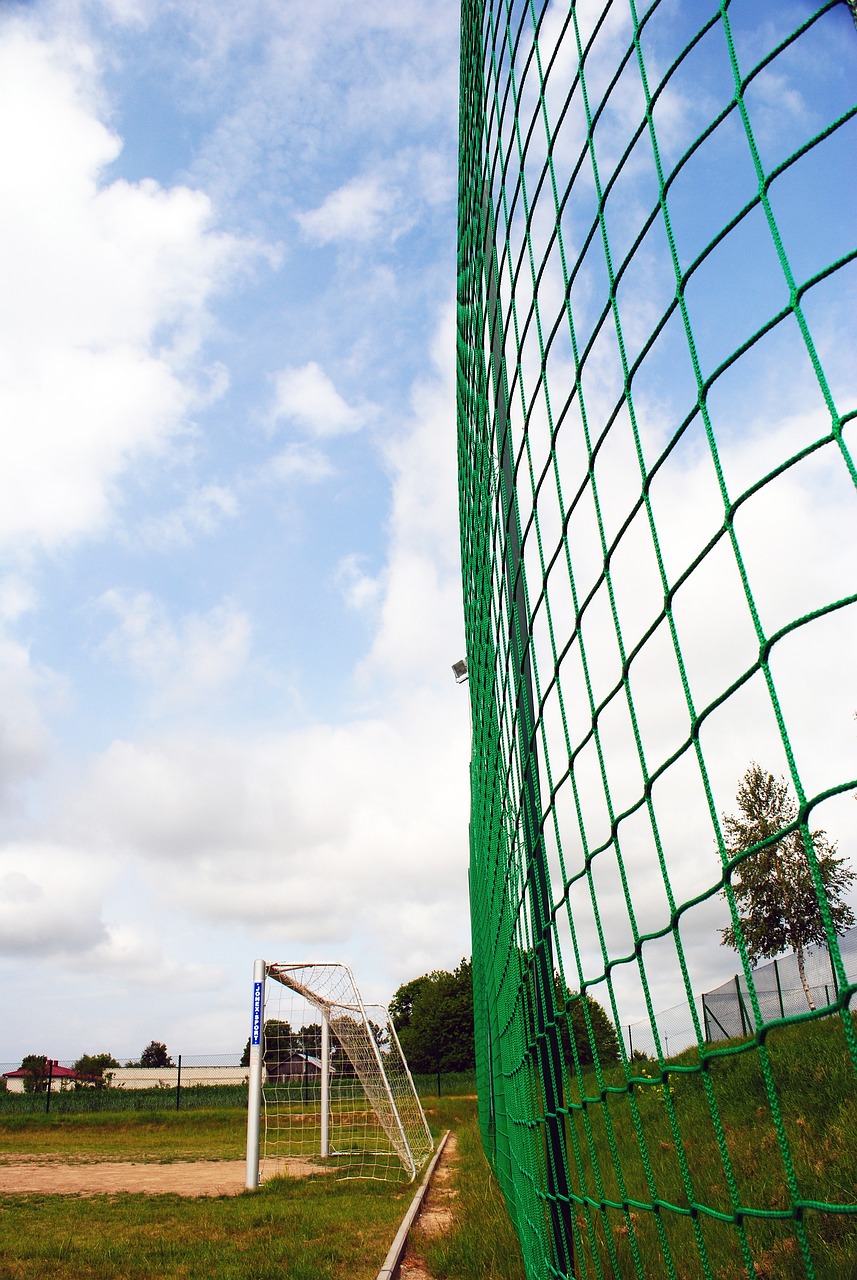 这一战术在 这一战术在