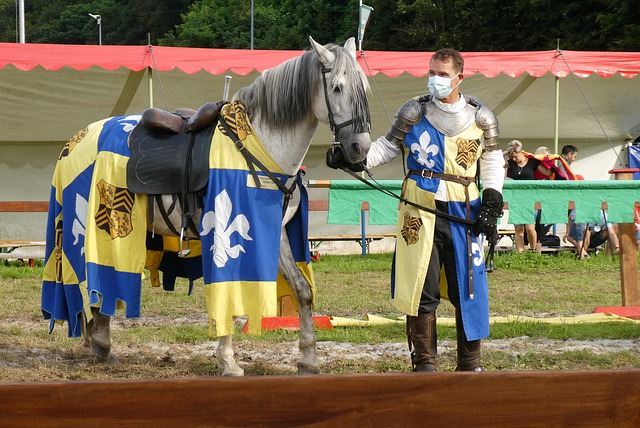 球队主教练 球队主教练