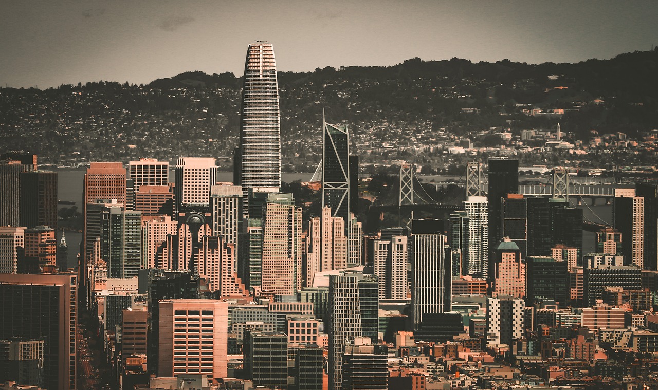 杨无疑是全 杨无疑是全