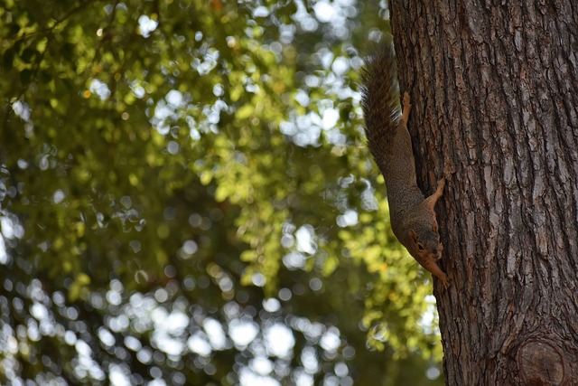 默契配合 默契配合